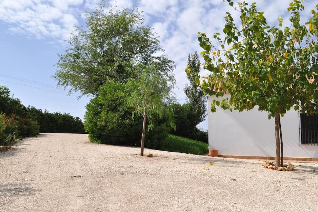 Casa Rural La Linana Kordoba Zewnętrze zdjęcie