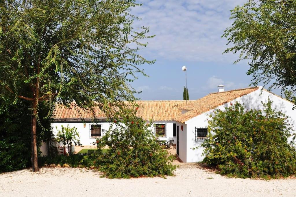 Casa Rural La Linana Kordoba Zewnętrze zdjęcie