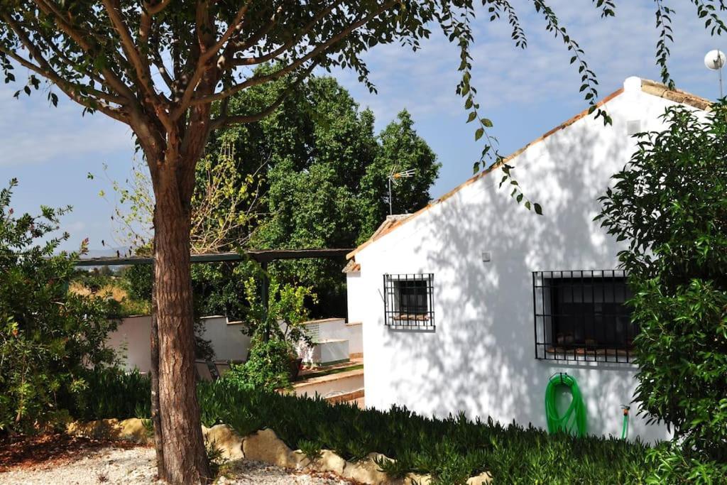 Casa Rural La Linana Kordoba Zewnętrze zdjęcie